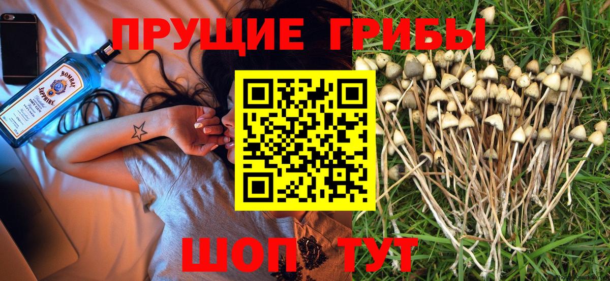 Кыштым  Псилоцибиновые грибы мухоморы  Вход с VPN  Галлюциногенные грибы прущие грибы 